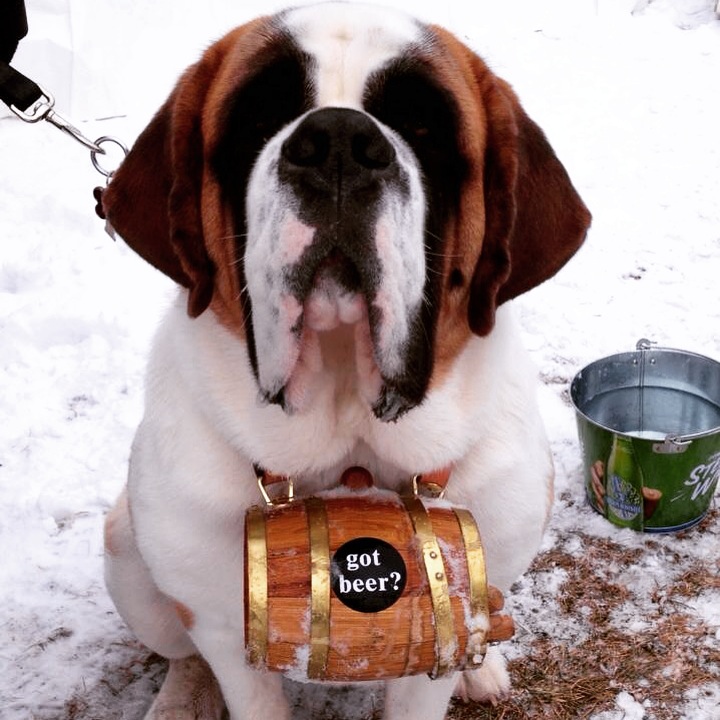 We had a blast at The Roundhouse Winter Craft Beer&nbsp;Fest